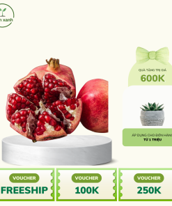 Cây lựu đỏ ngon, mọng nước, ngọt - uy tín chuẩn F1