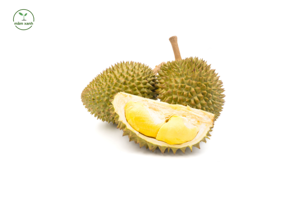 Top 4 các giống cây ăn quả quý ở nước ta - Sầu riêng Ri6