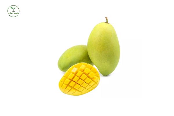 Top 4 các giống cây ăn quả quý ở nước ta - Xoài cát Hòa Lộc