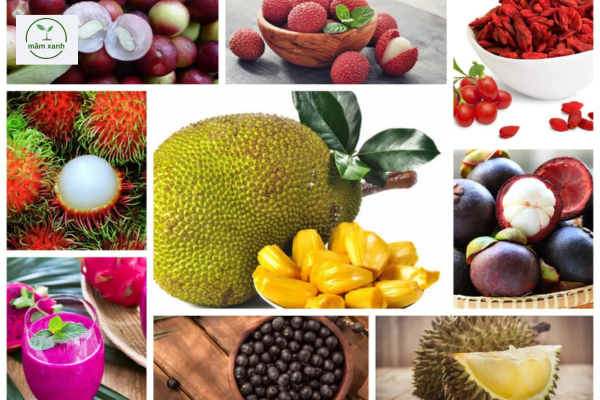 cây ăn quả ôn đới ở việt nam