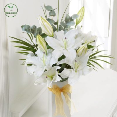 hoa huệ trắng đại diện cho sự thuần khiết và sang trọng trong bộ sưu tập các loài hoa màu trắng của Mầm Xanh.